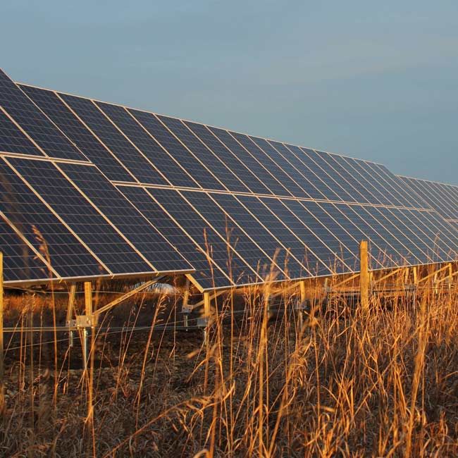 photo of a solar panel array on the ground